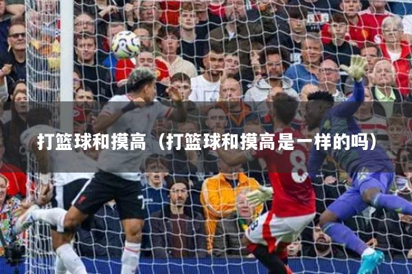 打篮球和摸高（打篮球和摸高是一样的吗）