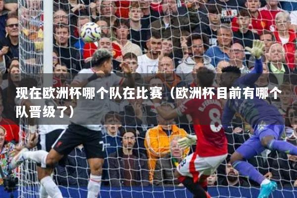 现在欧洲杯哪个队在比赛（欧洲杯目前有哪个队晋级了）