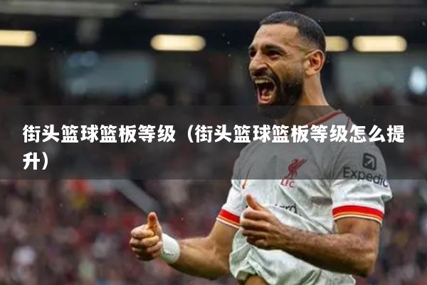 街头篮球篮板等级（街头篮球篮板等级怎么提升）