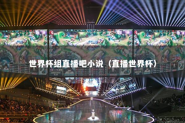 世界杯组直播吧小说（直播世界杯）