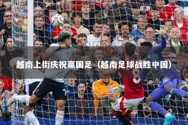 越南上街庆祝赢国足(越南足球战胜中国)