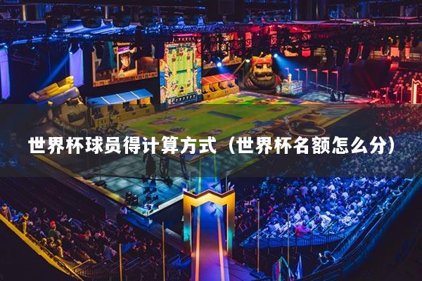 世界杯球员得计算方式（世界杯名额怎么分）