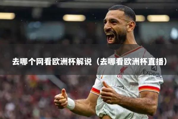 去哪个网看欧洲杯解说(去哪看欧洲杯直播)
