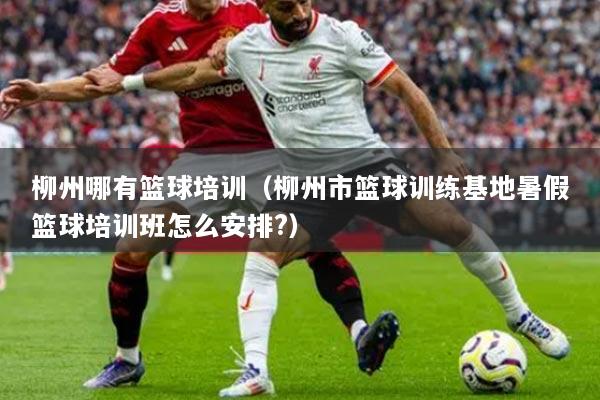 柳州哪有篮球培训（柳州市篮球训练基地暑假篮球培训班怎么安排?）