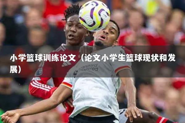 小学篮球训练论文（论文小学生篮球现状和发展）