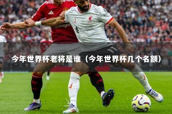 今年世界杯老将是谁（今年世界杯几个名额）