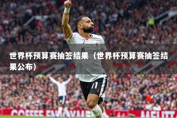 世界杯预算赛抽签结果（世界杯预算赛抽签结果公布）