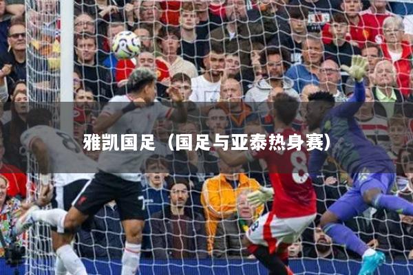 雅凯国足（国足与亚泰热身赛）