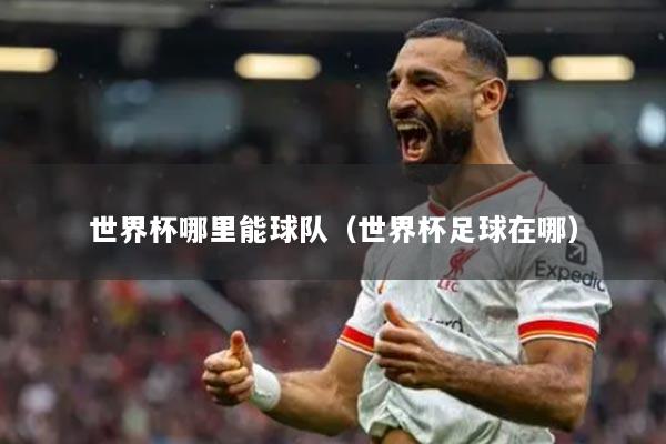 世界杯哪里能球队（世界杯足球在哪）