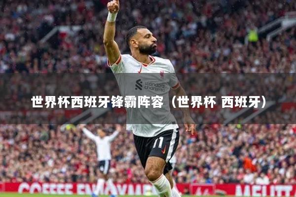 世界杯西班牙锋霸阵容（世界杯 西班牙）