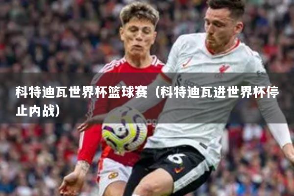 科特迪瓦世界杯篮球赛（科特迪瓦进世界杯停止内战）