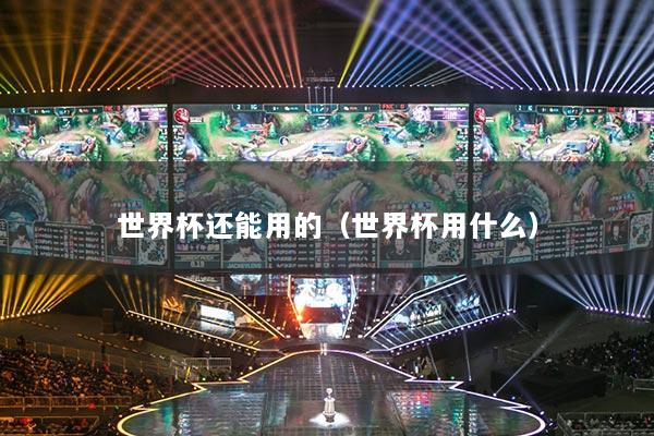 世界杯还能用的（世界杯用什么）