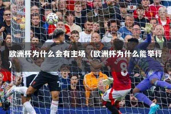 欧洲杯为什么会有主场（欧洲杯为什么能举行）