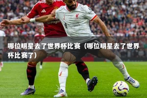 哪位明星去了世界杯比赛（哪位明星去了世界杯比赛了）