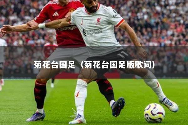 菊花台国足（菊花台国足版歌词）